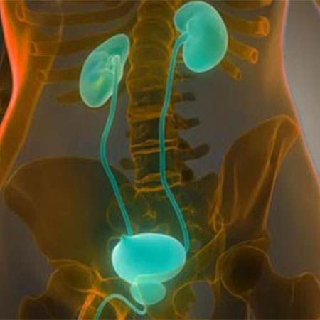 Male Infertility Treatment in Vijayawada